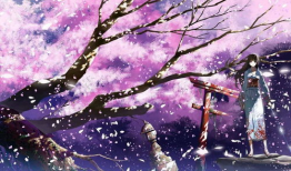 樱花.动漫,绽放青春的幻想世界