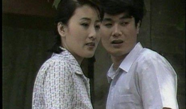90年代电视剧,90年代电视剧经典回顾