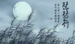 琵琶行动漫,穿越时空的旋律传奇