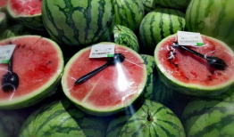 吃瓜爆料照片图片大全,图片大全揭秘娱乐圈幕后真相